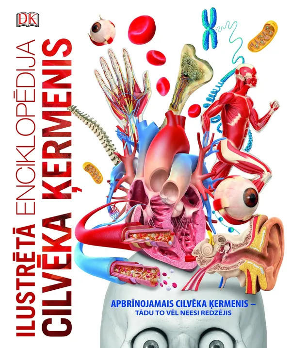 Cilvēka ķermenis. Ilustrētā enciklopēdija