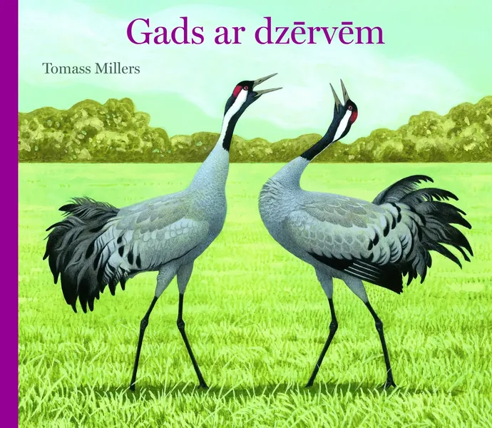Gads ar dzērvēm