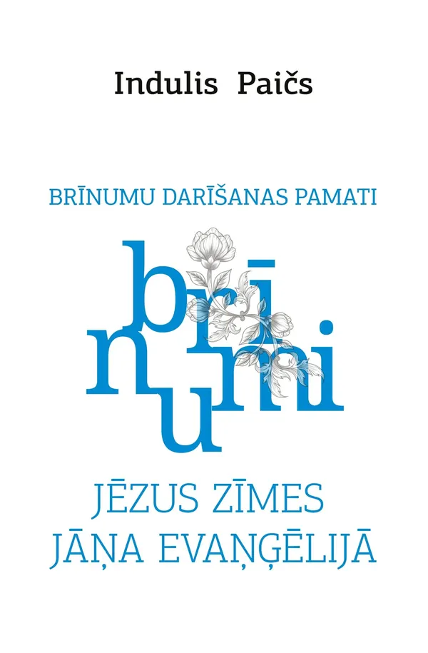 Jēzus zīmes Jāņa evaņģēlijā. Brīnumu darīšanas pamati