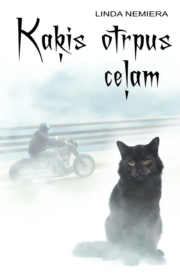 Kaķis otrpus ceļam