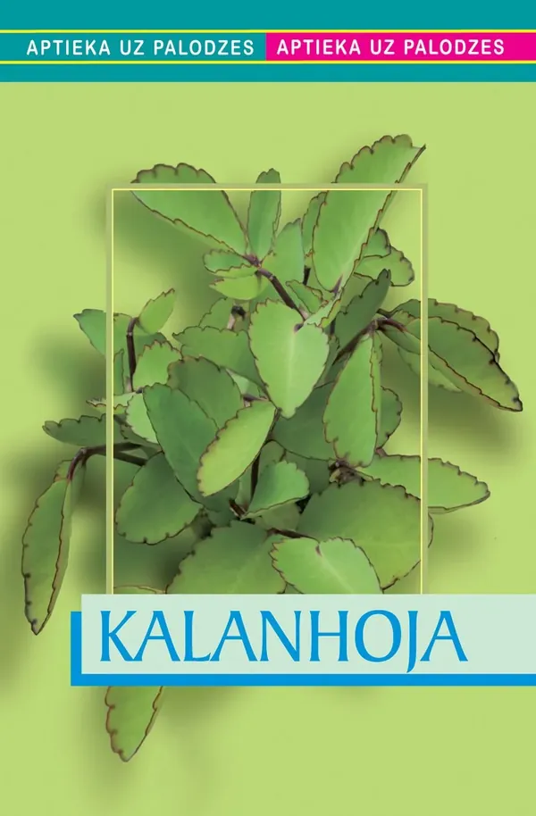 Kalanhoja