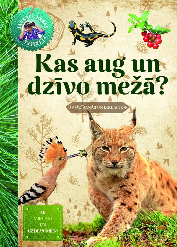 Kas aug un dzīvo mežā? Ar mīklām un uzdevumiem