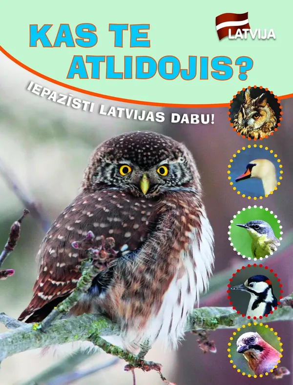 Kas te atlidojis? Iepazīsti Latvijas dabu!