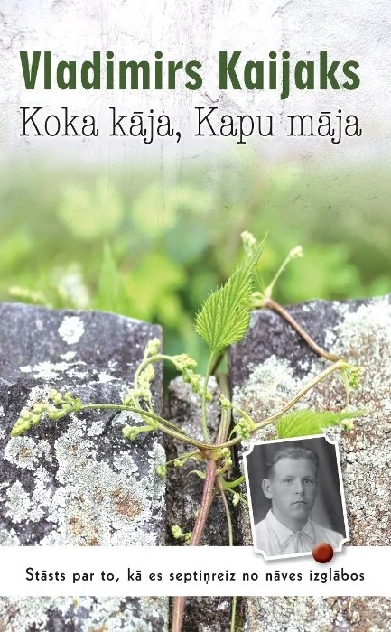 Koka kāja, kapu māja