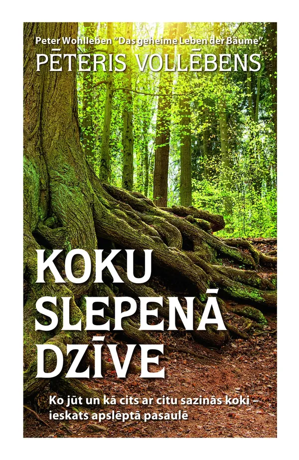 Koku slepenā dzīve. Ko jūt un kā cits ar citu sazinās koki - ieskats apslēptā pasaulē