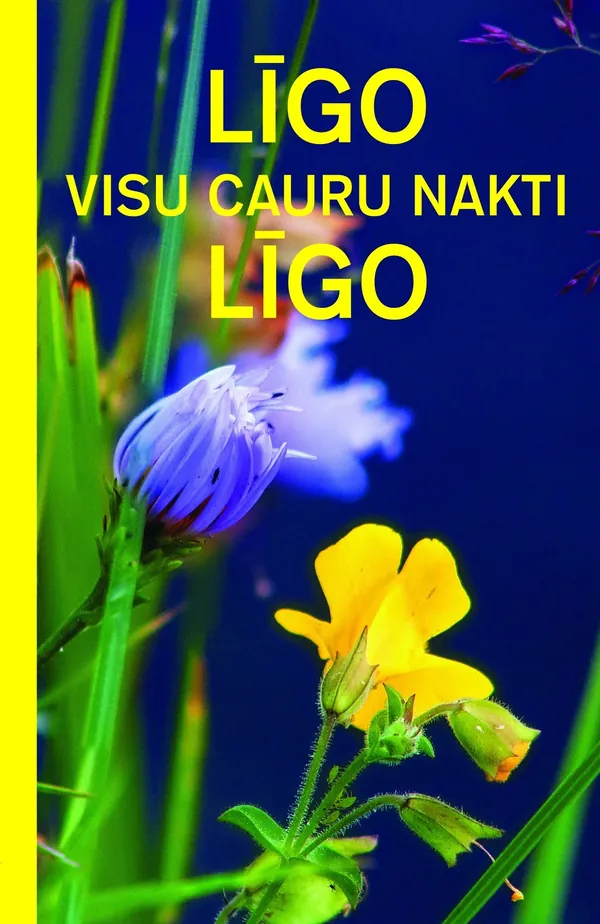 Līgo visu cauru nakti, līgo!