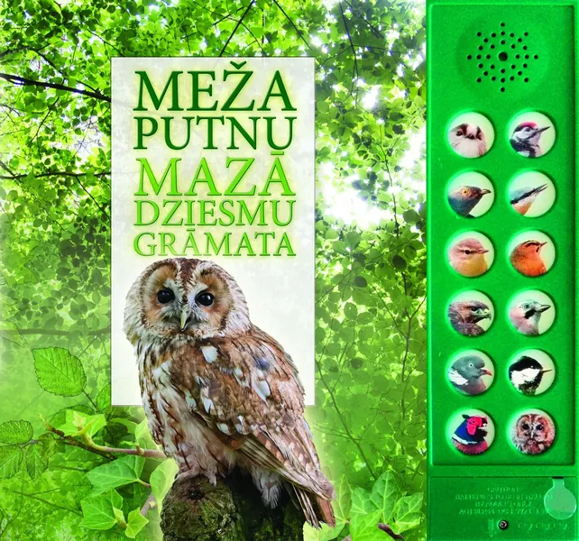 Meža putnu mazā dziesmu grāmata