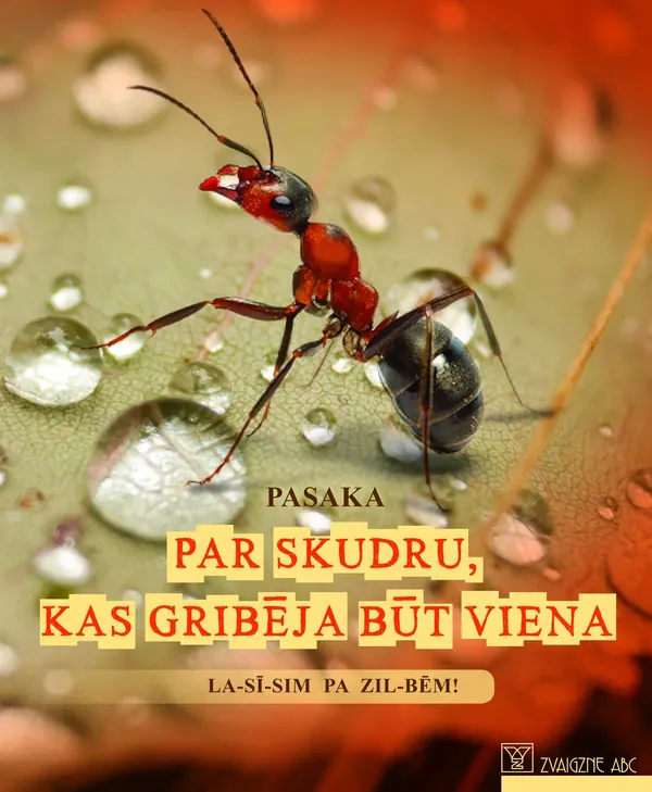 Par skudru, kas gribēja būt viena. La-sī-sim pa zil-bēm!