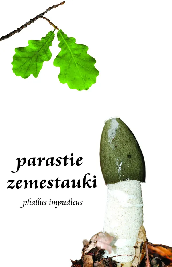 Parastie zemestauki