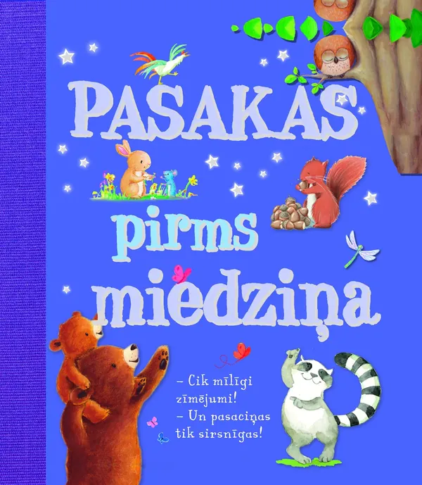 Pasakas pirms miedziņa