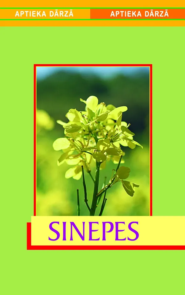 Sinepes