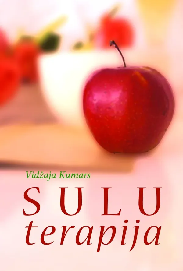 Sulu terapija