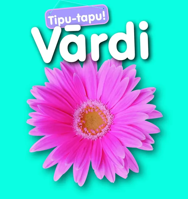 Vārdi