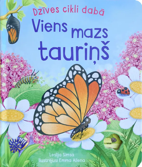 Viens mazs tauriņš. Dzīves cikli dabā